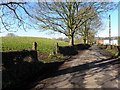 Mound along Feddan Road