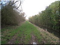 Temple Drain looking North