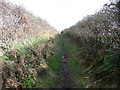 SS4287 : Sunken way footpath outside Pitton village by Jeremy Bolwell