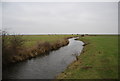 TQ7477 : Drainage ditch, Ryestreet Common, Cliffe Marshes by N Chadwick