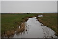 TQ7477 : Drainage ditch, Cliffe Marshes by N Chadwick