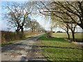 Brindleys Lane to Brind Leys Farm