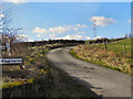 Road To Benthead Farm And Hursthead Nook