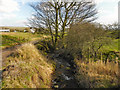 Clough House Brook