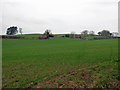 SO6823 : Aston Court Farm by Pauline E