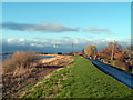 Levee of River Ouse at Skelton