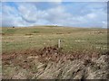 Looking towards Hagworm Hill