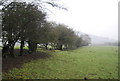SO4381 : Shropshire Way along a hedge by N Chadwick