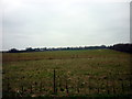 Looking west from Dog Kennel Road, Hemswell Cliff