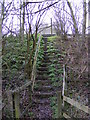 Footpath steps to the A12 Saxmundham Bypass