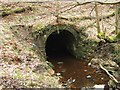 Tunnel under Arns Road