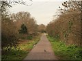 Path beside Deen City Farm