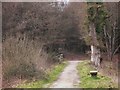 Footpath with bench by  Lodge Pond