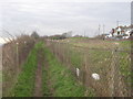 North Downs Way beside Old Dover Road