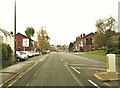 "Car Sales" on Preston Road