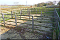 Livestock Pens at Coward