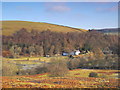 East Allen Dale near The Holms