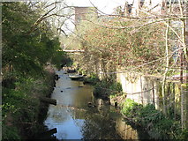 TQ3671 : The Pool River south of Worsley Bridge by Mike Quinn