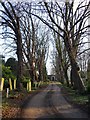 The old churchyard, All Saints