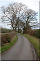 Lane to Stobb House Farm