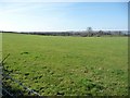 Arable land east of Birch Tree House