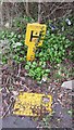 TF0820 : Hydrant and Hydrant sign by Bob Harvey