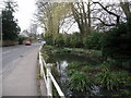 Winchester: Weeke Pond