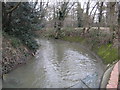 Gatwick Stream in Grattons Park