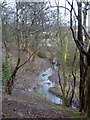 Wooded slopes above Trough Brook