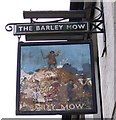 A sad Barley Mow