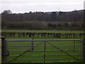 Fields near Runfold Manor