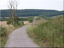 TR1264 : The Crab & Winkle cycle route heading south towards Clowes Wood by shirokazan