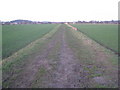 The Viking Way near Barnetby le Wold