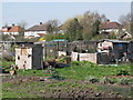 TQ3670 : Kent House Road Allotments, SE26 (2) by Mike Quinn