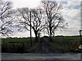 Minor Road Junction near Larkhall