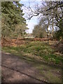 A view across Farnham Heath towards the Museum of Rural Life