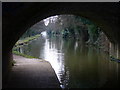 River Wey Navigation near Byfleet