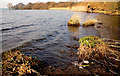 Antrim Bay, Lough Neagh (1)