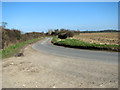 The lane from Salle to Wood Dalling