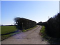 TM3970 : Footpath to the A1120 High Street & entrance to Martin's Farm by Geographer