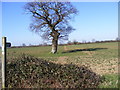 TM3971 : Footpath to South Manor Farm by Geographer