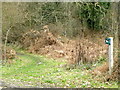 Bridleway to Windmill Hill