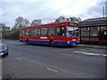 274 bus outside London Zoo, Prince Albert Road