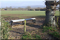 Farmland east of Denbigh