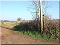 Public footpath at Winscott