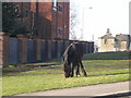 Horse grazing - Holme Wood Road