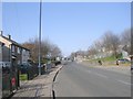 Holme Wood Road - viewed from Grayswood Crescent