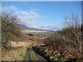 Farm track and footpath south of Dolwyddelan