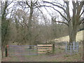 Gate, stile and kissing gate near Brown