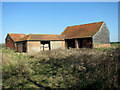 Barns at Forest Farm, Wood Dalling